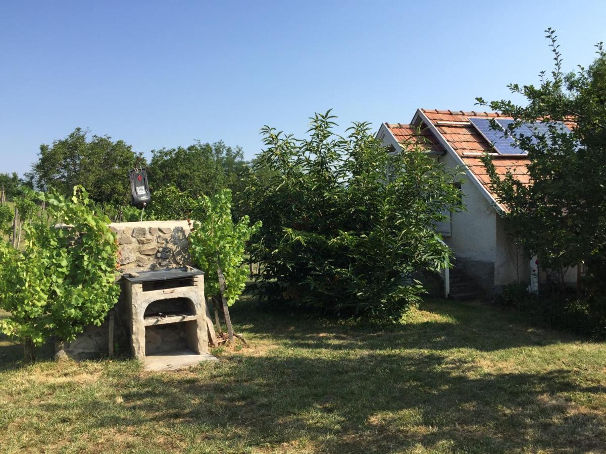 Csobánc Szerelem-Nemzeti Park-Önalló Ház Gyulakeszi Exterior foto